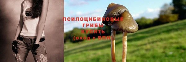ALPHA-PVP Алзамай