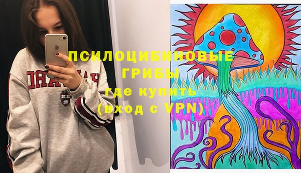 ешки Алексин