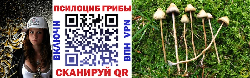 Псилоцибиновые грибы мицелий  Камбарка 